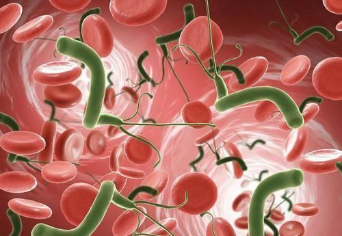 学习习惯|老人带孩子问题重重,隔代育儿的误区须纠正,宝妈要留心