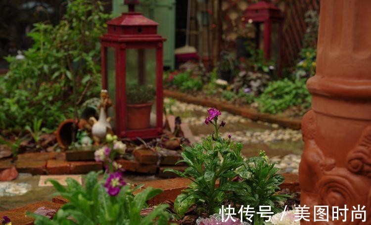 小院|荒废多年的80㎡小院,2年半时间打造成下沉式花园,太漂亮了!