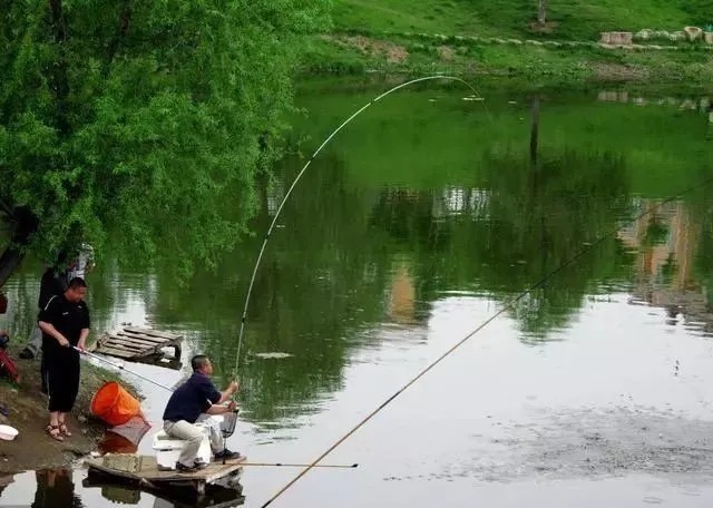 这3错误钓友最常犯,90%的钓友都犯了,难怪钓不到鱼!