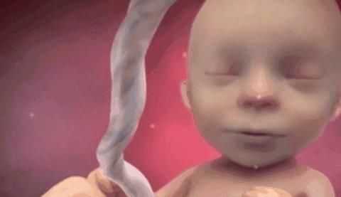 小雅|胎儿每天在妈妈肚子里忙什么?除了吃和睡,他们有好多事情要忙!