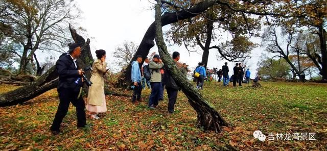 龙湾|2021吉林龙湾国家公园“鹿鸣金秋 生态永恒”金秋红叶节盛大开幕