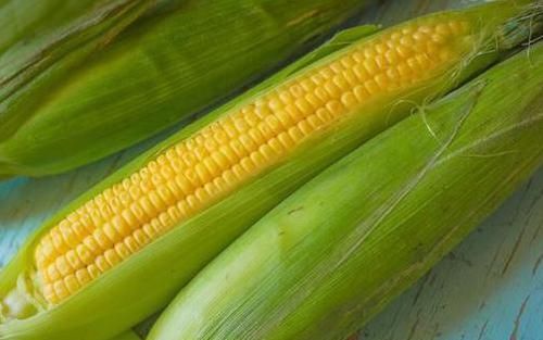 玉米只用清水煮，难怪不好吃，记得多放2味料，玉米变得更香甜