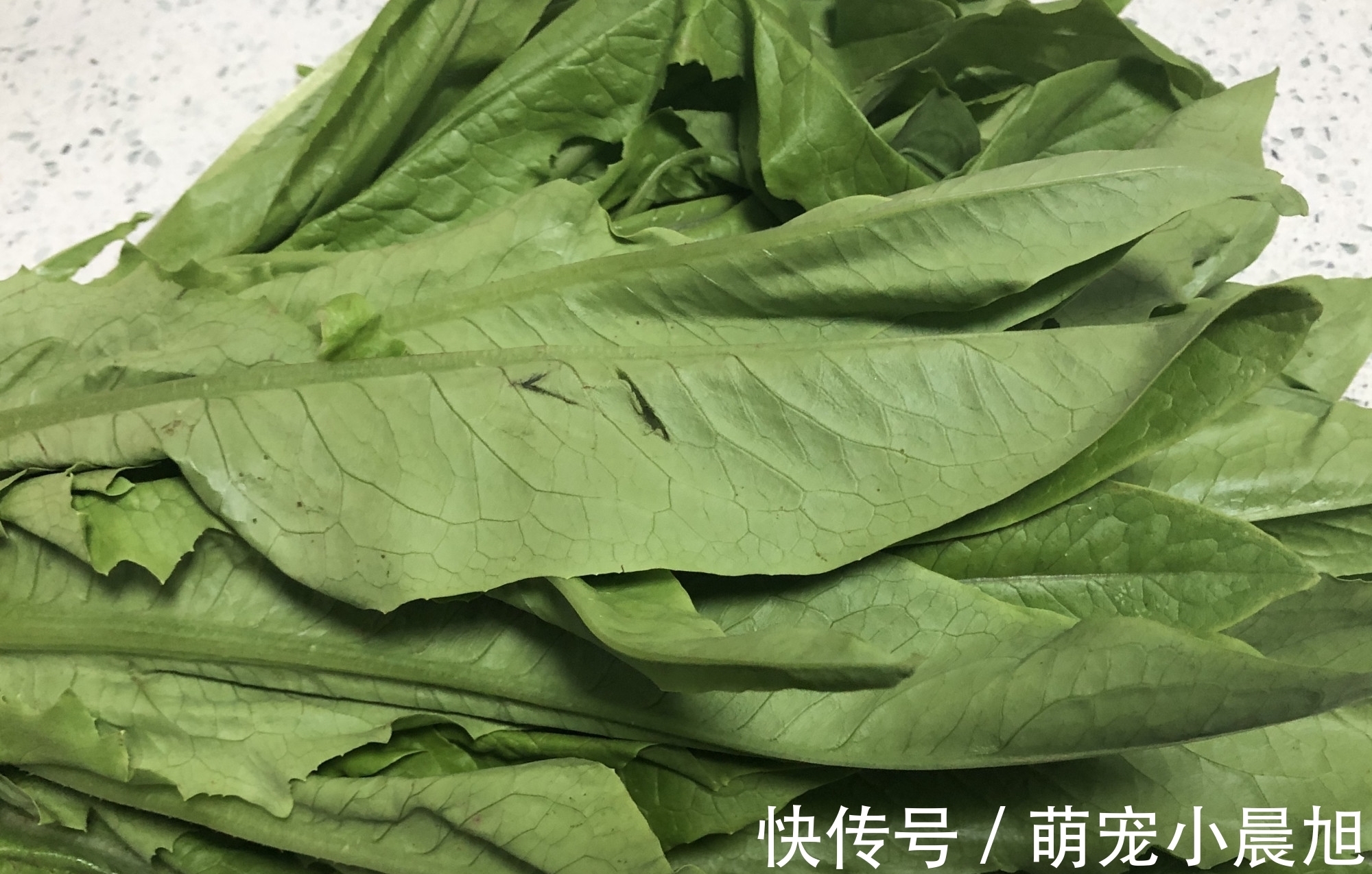 莴笋|春天吃菠菜、莴笋不如吃它,钙比莴笋多1倍,被誉为“蔬菜凤尾”