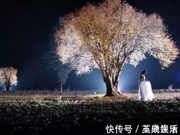 绝顶高手#小龙女与尹志平唯一的孩子,后来成为绝顶高手,叱咤整个江湖