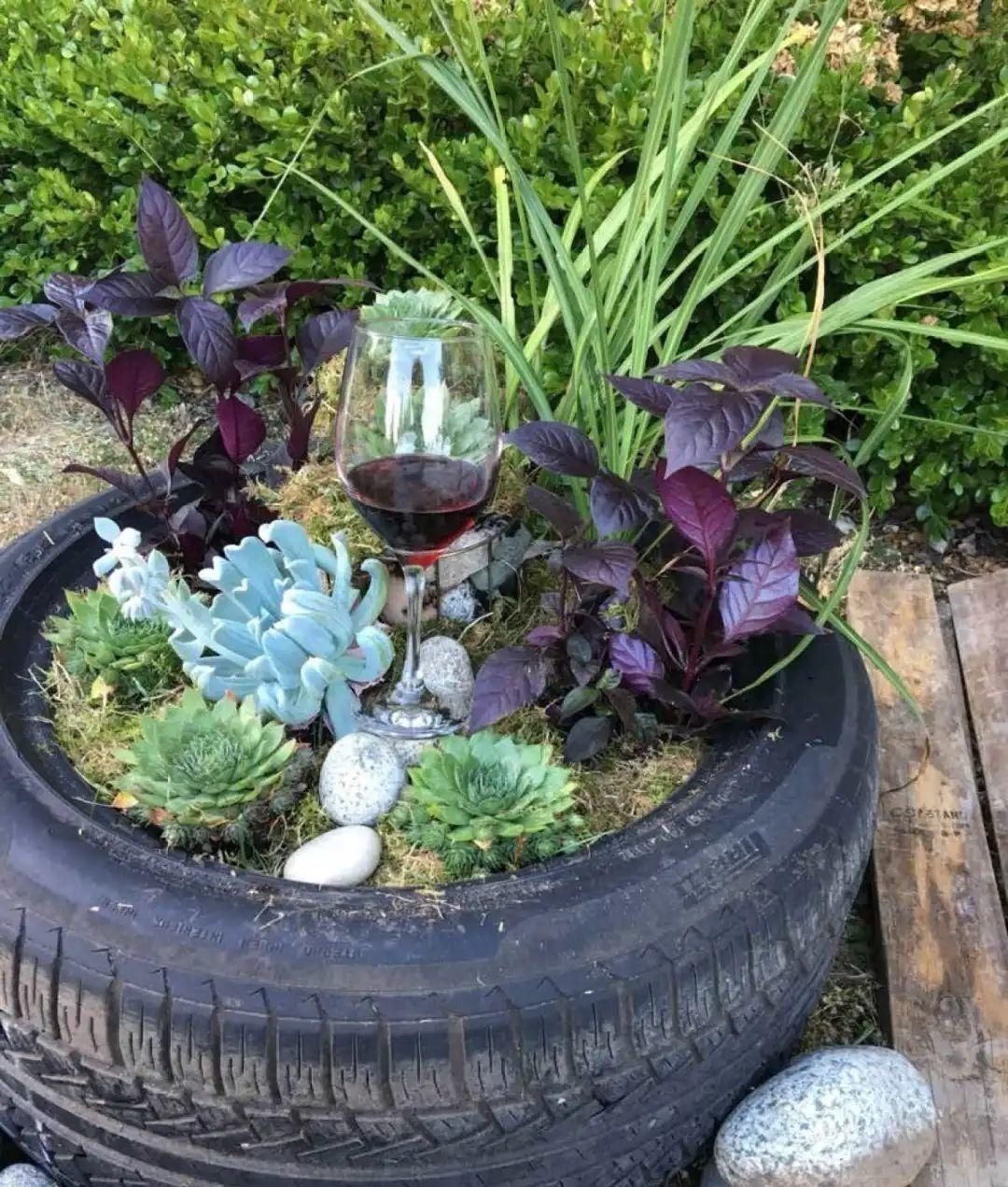 塑料瓶|旧筷子、老干妈瓶别扔，拿来养花效果好，省下一笔养花钱