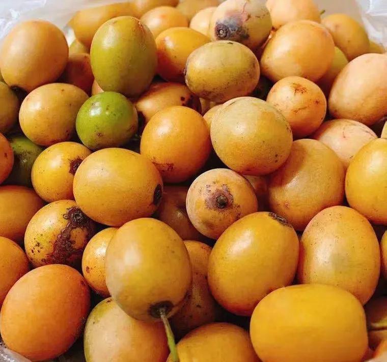 酸枣|入秋后健身减脂记得吃10种食物,膳食纤维含量高,人人吃得起