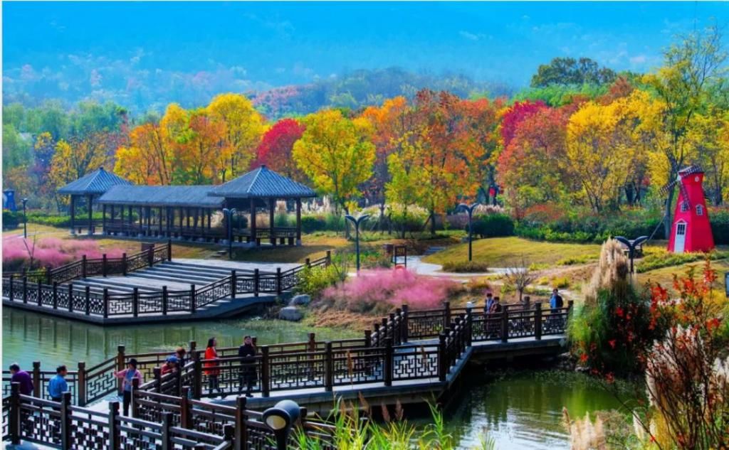 老年|超期待！邳州这个景区入选全省重点！