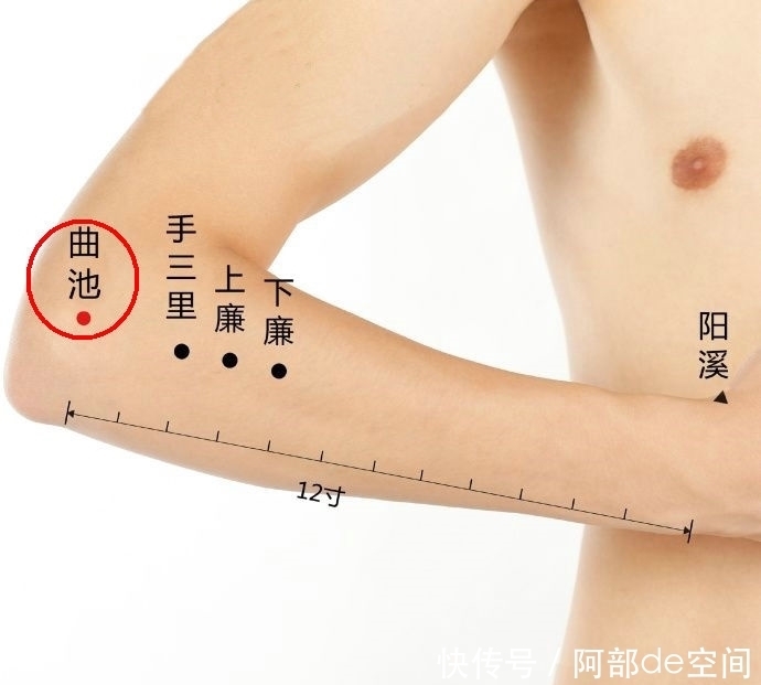 悄悄|身体上有两个“减压”区,每天随手敲打5分钟,血压悄悄平稳