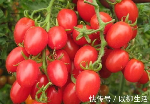 血压|血压高的人,牢记常吃6种食物,清血管,帮你摆脱高血压困扰!