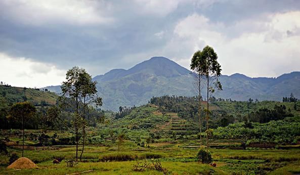 全世界最自由的国家,为何没有人去旅游游客不敢去