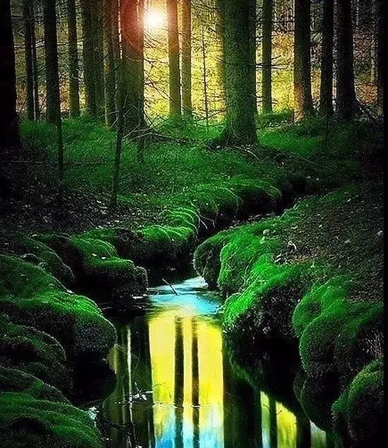 传来|太美了,世界照片今天终于传来,罕见至极,一睹为快