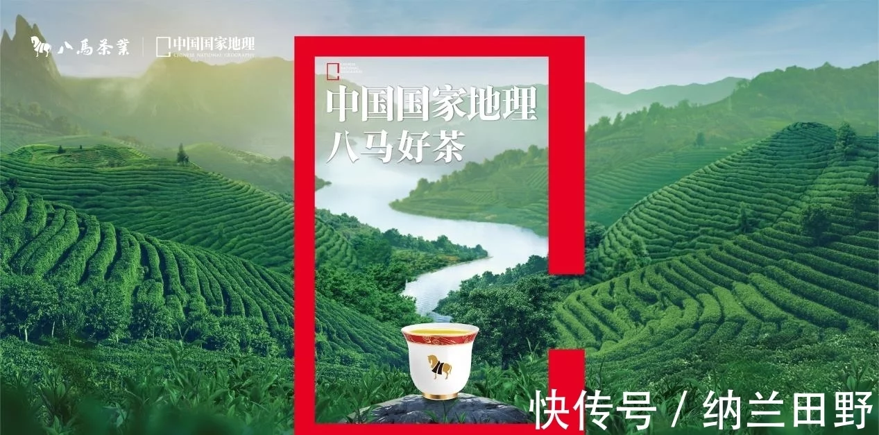 西湖龙井凭什么成为“中国十大名茶”之首？
