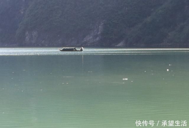 窝子|小杂鱼闹窝真是烦!学会六招,让你轻松垂钓