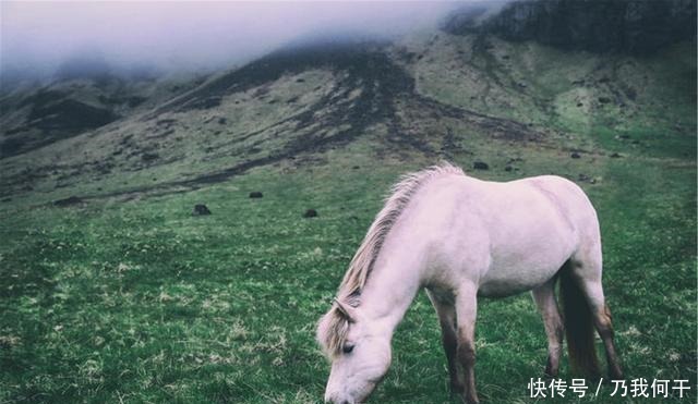  凝出|言叔夏《白马走过天亮》从人世的荒凉里，凝出透亮的诗来