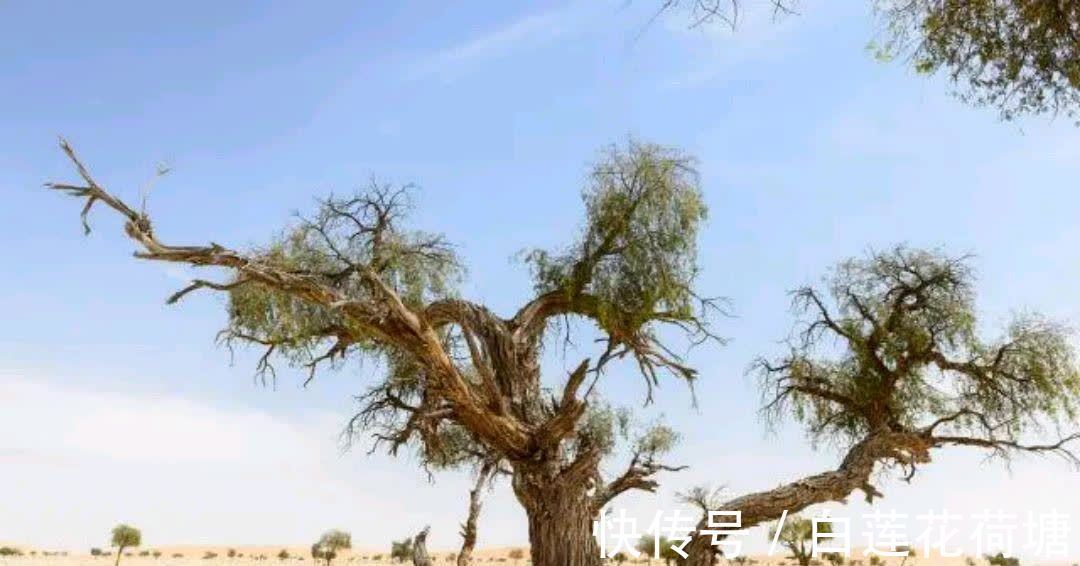 一生|人的一生,一切皆注定,天命不可违