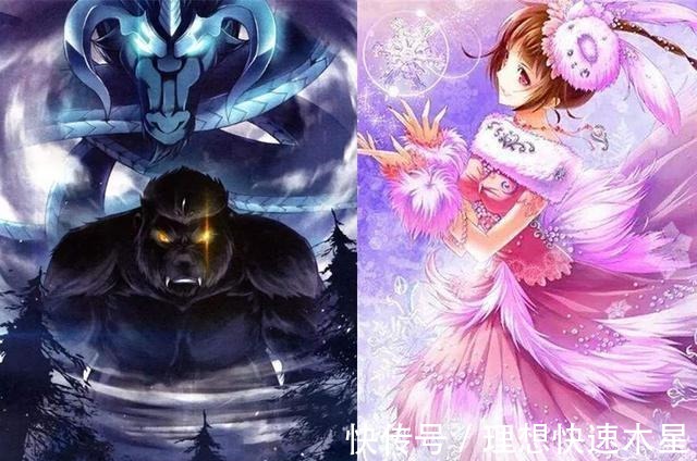 斗罗大陆|选择放手斗罗大陆中喜欢上同一人的好兄弟，弗兰德成全玉小刚