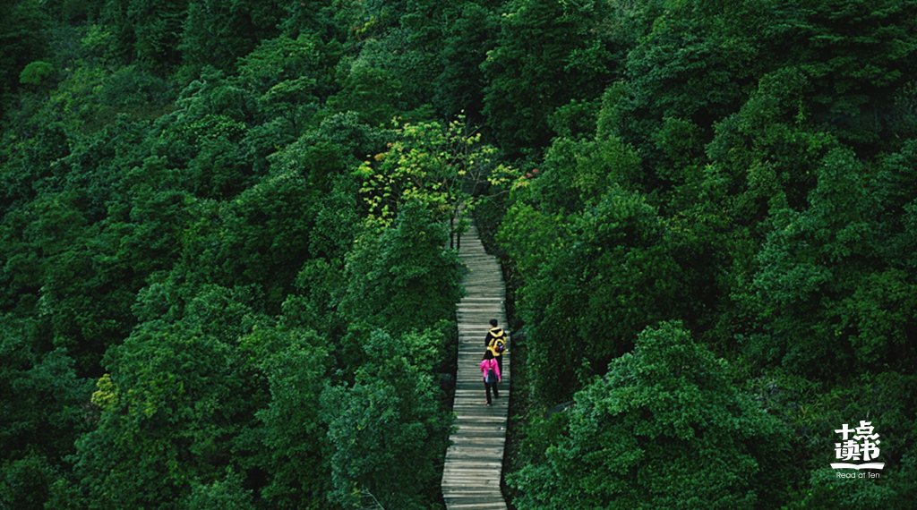 日照|【早安·日照】真正拖垮你的，是沉没成本