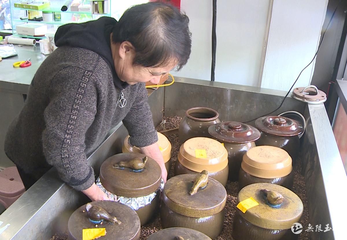 老鸭煲|立冬补冬,补嘴空