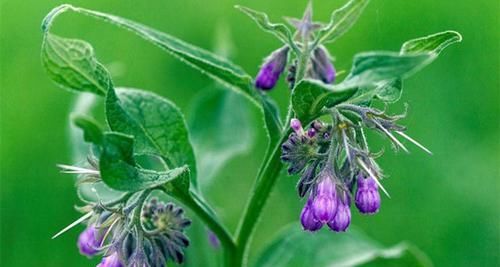 更好|女人若想身體健康，不妨多吃3種食物，對(duì)子宮也有好處