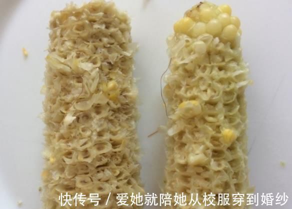 超哥|“玉米棒”还在扔往盆里一塞，等于“促花激素”，花开爆不停