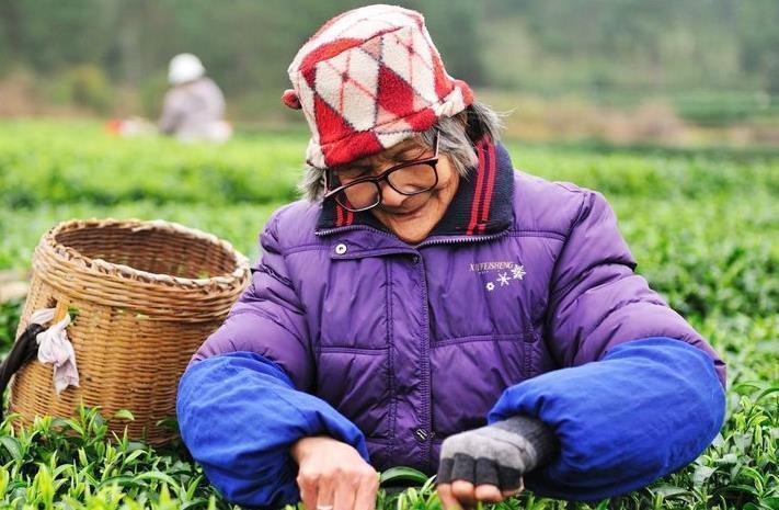 长寿|长寿人的5大养生“秘诀”,喝水只排第四,第五个多数人做不到