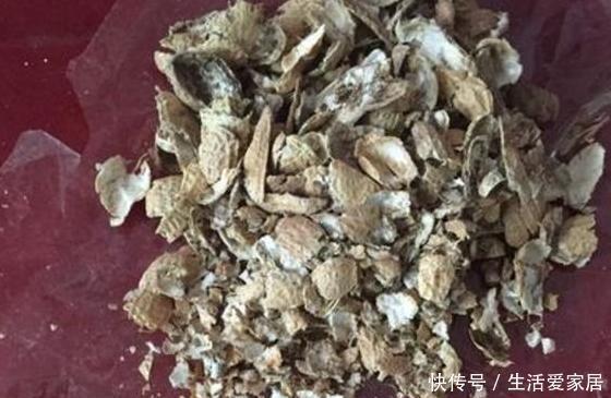 透气性|养花大爷透露这“3种料”放土里,比营养土还好用,养1盆爆1盆