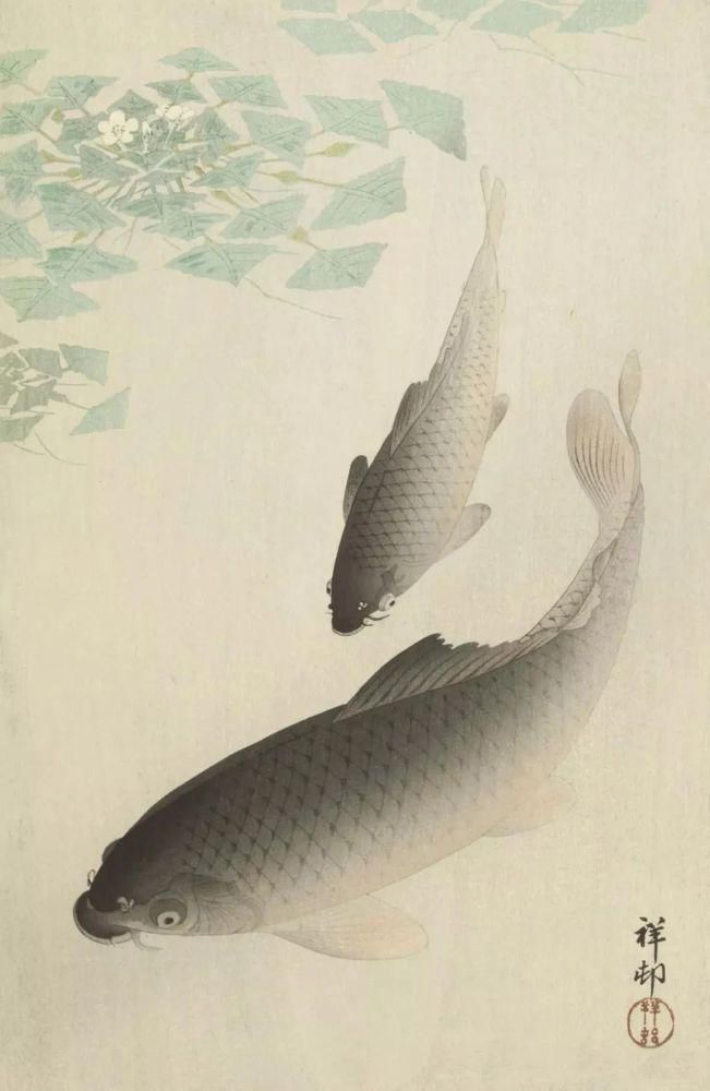 日本绘画大师的花鸟画，淡雅清新