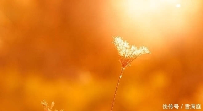 一日三餐|4个患癌后死里逃生的肿瘤科医生，亲自列出了生活忠告！