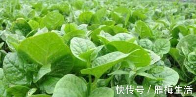 膳食纤维|秋燥容易便秘此10种便宜货,却是便秘的敌人,黑臭宿便不见