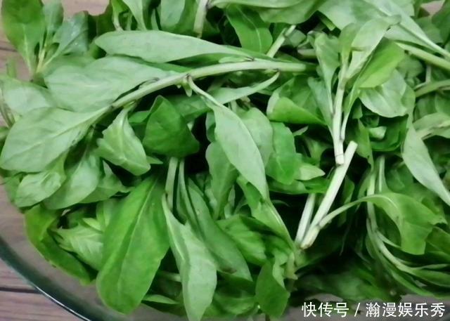 这个菜的叶子是个宝,简单炒一炒鲜美又好吃,孩子常吃对眼睛好