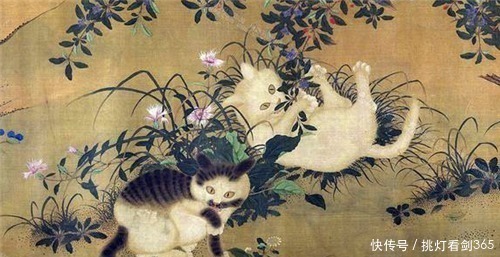 李时珍#为何中国人不吃猫肉原来李时珍早在《纲目》给出答案,古人试过