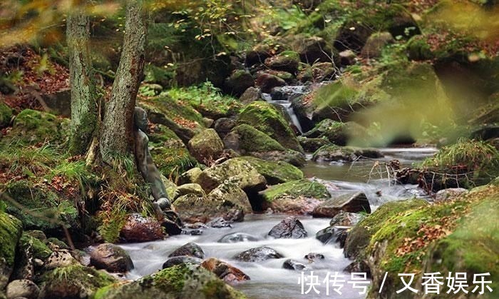 照片&德艺术家把不着片缕的美女隐藏在照片中,人体彩绘伪装下佳人何在