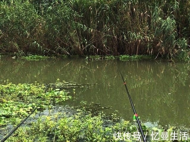 no3|钓鱼圈的这几个“怪事”，大部分钓鱼人都遇到过