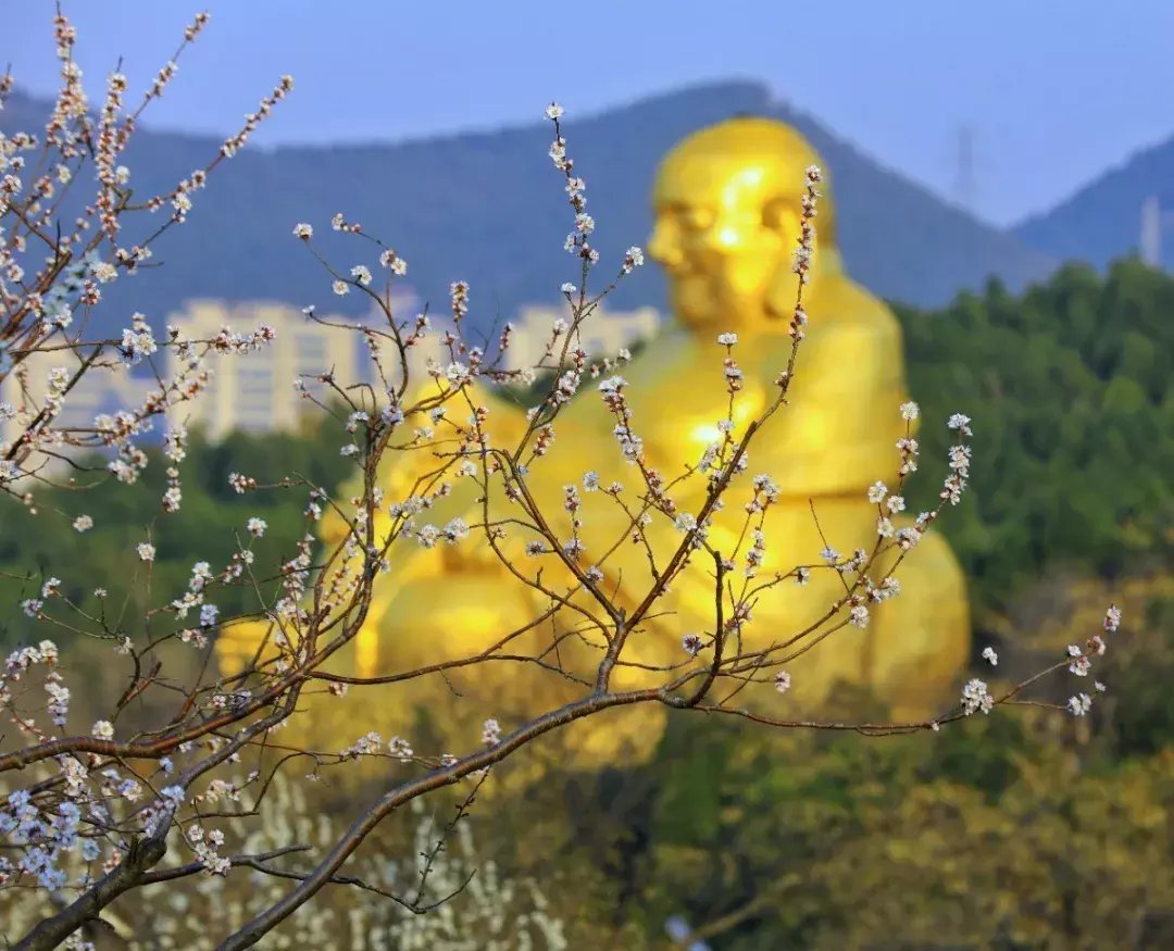 重阳节|赏民俗 品小吃 看大戏 重阳节一定要到这里！