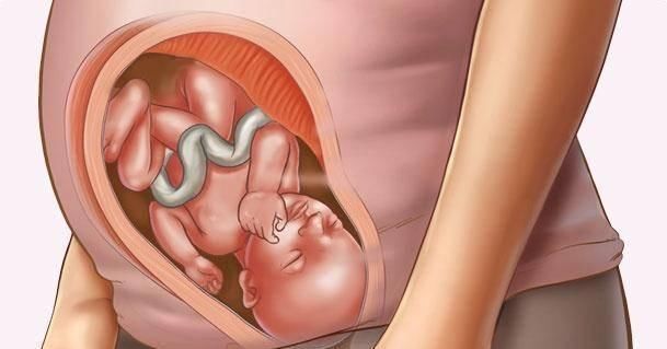 孕妇|怀孕8个月,如果有这6种感觉,说明胎儿很健康,孕妇大可放宽心