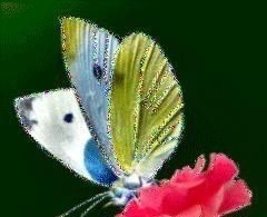 人心$良言20句,见证人心,看透人性看一次胜读十年书