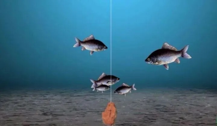 冬钓鲫鱼久坐无口,给你三个建议,大板鲫一钓一箩筐