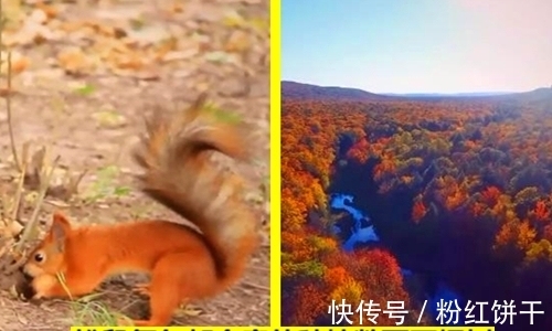 冷知识普及：12个存在的有趣事实，但很多人也许并不清楚