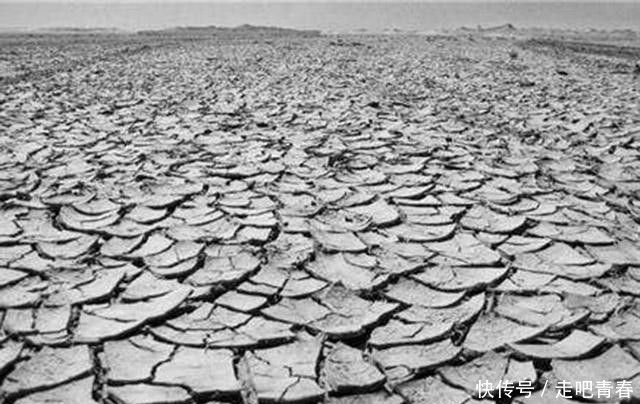 河里|啃树皮、吃老鼠,饥荒年代人们什么都吃,为何不吃河里的鱼虾?