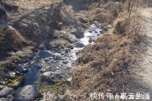 熟悉的味道|再访秦岭岭沟，四年过去了，竹林中的这户人家，变化之处令人感慨