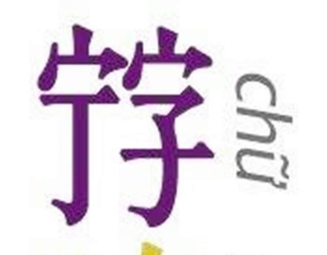 南国$这个国家建国后,做的第一件事就是废除汉字,结果现在出问题了!