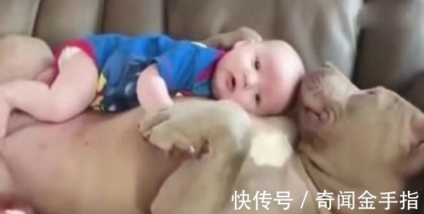 客厅|早上醒来未见孩子,夫妻急的不行,走到客厅楞了