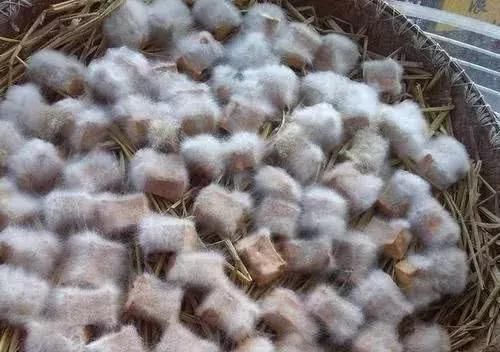 4种因“意外”而产生的美食，薯片上榜，第三种来自中国