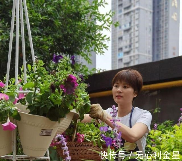 矾根|为了300㎡露台花园,毫不犹豫买了这房子,在城市屋顶过上田园生活!