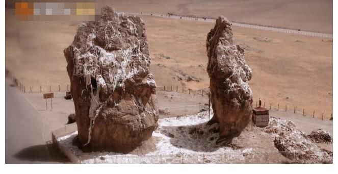 蒋勤勤|《妻子5》收官在即，张馨月成长最大，收获好评最多的却是她