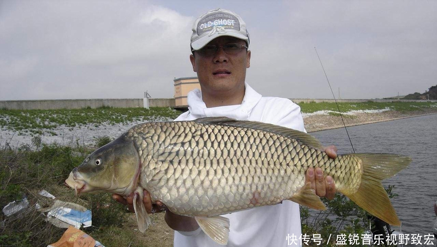 谁与争锋|什么物质的气味是鲤鱼非常喜欢的?钓鲤鱼轻松爆护的四种物质