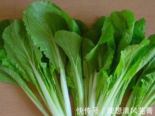 小白菜|中秋笔记小白菜儿和豆腐！