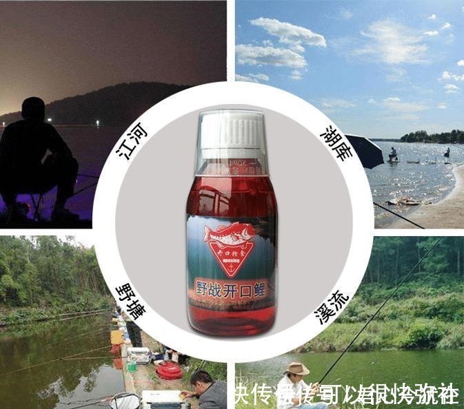 神经素|给你提个醒,秋钓只需牢记这三个调整,不吹不捧,一周至少钓五次!