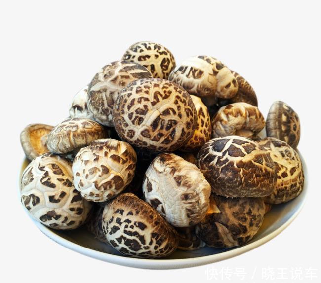 香菇包饺子，牢记3种步骤，很多人不懂，难怪没有饺子馆做的好吃