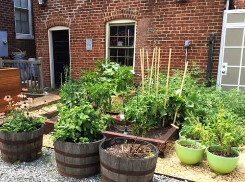 聚会|好看这样布置一个家庭小院,聚会玩乐都能行,看完就想建一个